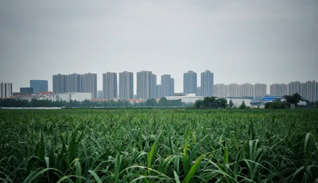 礼品采购业务分析，优化采购流程与成本控制